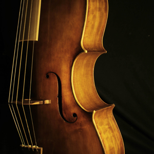 VIOLONCELLOS