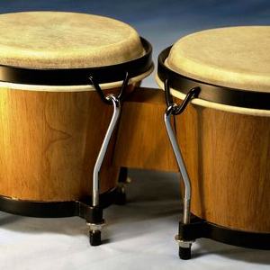 BONGOS